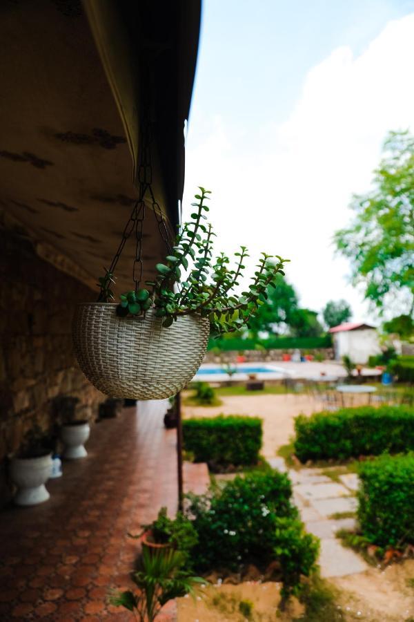 The Rustic Villa, A Stay With Luxuries Amenities And Exotic Nature Dźajpur Zewnętrze zdjęcie